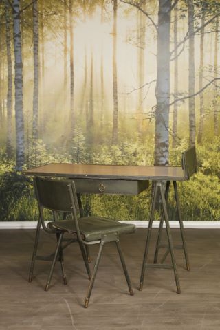 bureau_jacques_adnet