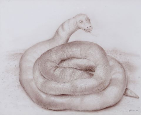 dessin_fauveparis_botero